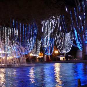 Noel_Montpellier_2011_1