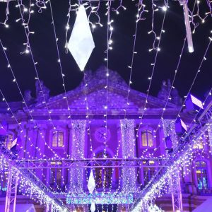 noel-toulouse