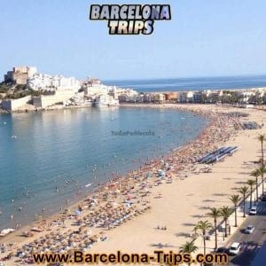 playa-norte-julio_4