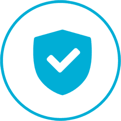 icono-seguridad