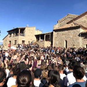 13878fira-bruixes-sant-feliu-sasserra