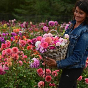 seila_basket_dalies-scaled