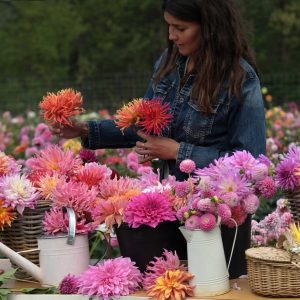 seila_table_dalias-1-scaled